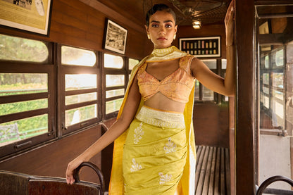 Handwoven Lime Green Silk Kadhwa Motifs Meenakari Saree