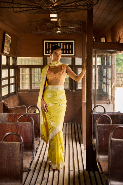 Handwoven Lime Green Silk Kadhwa Motifs Meenakari Saree