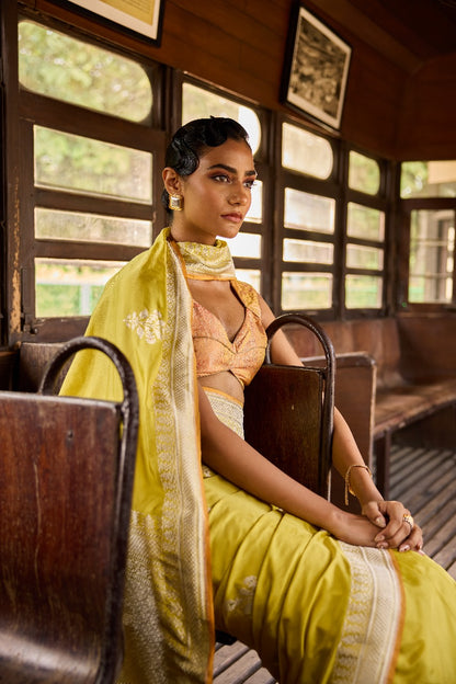 Handwoven Lime Green Silk Kadhwa Motifs Meenakari Saree