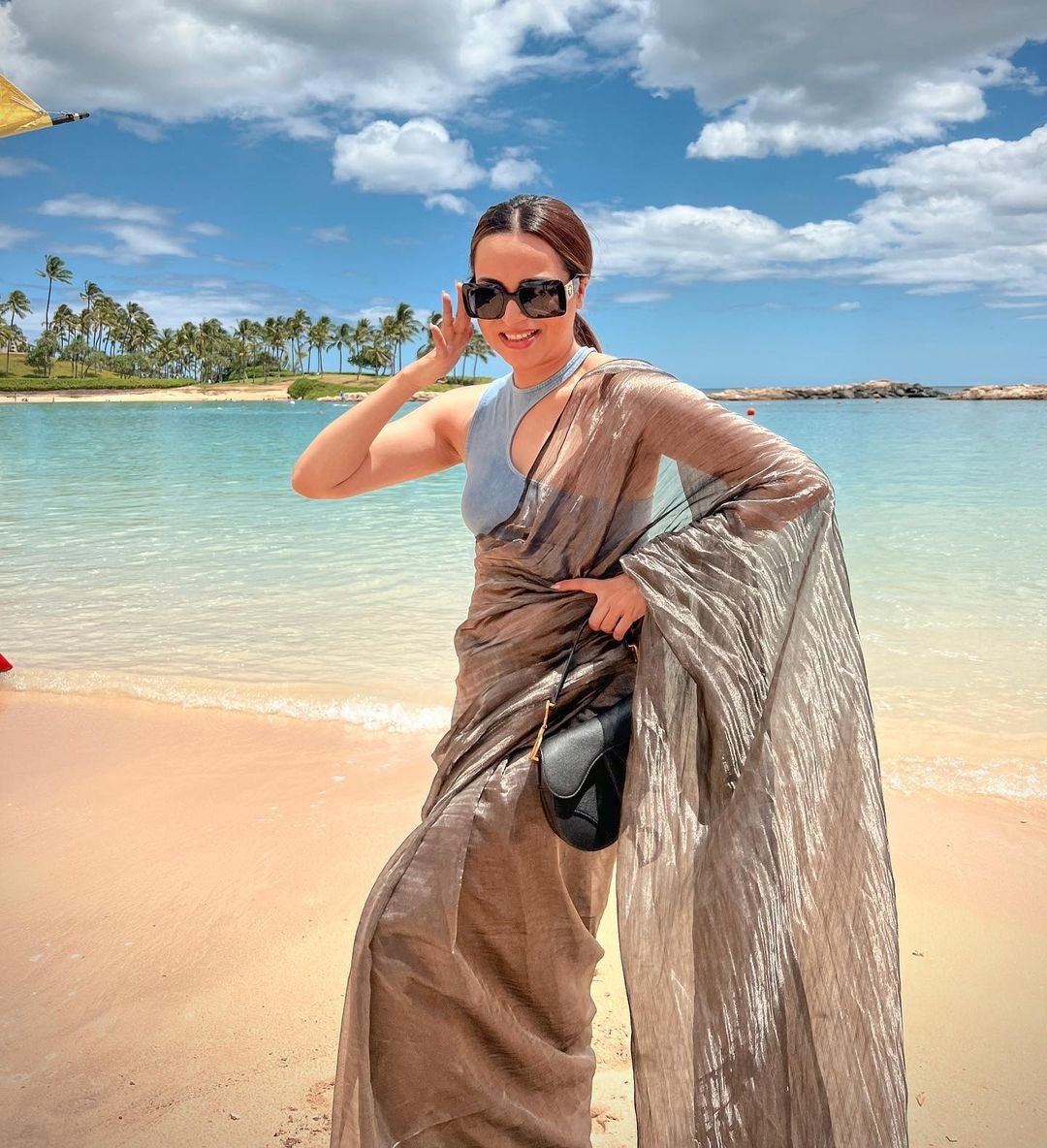 Handwoven Plain Black Tissue Banarasi Saree