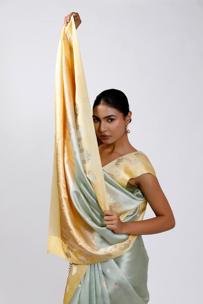 Sorbet Saree