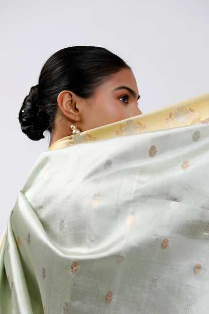 Sorbet Saree