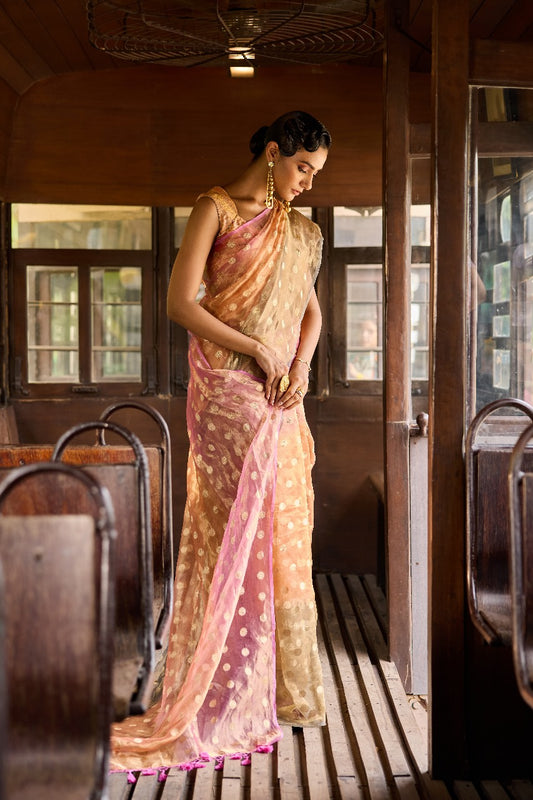 Handwoven Tissue Silk  Ombre Polka Saree
